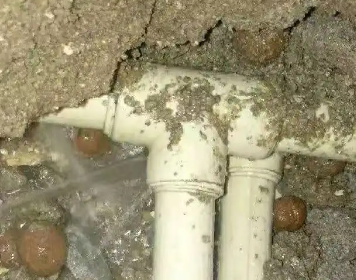 马尾测漏水多少钱