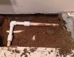 马尾测漏水哪家好