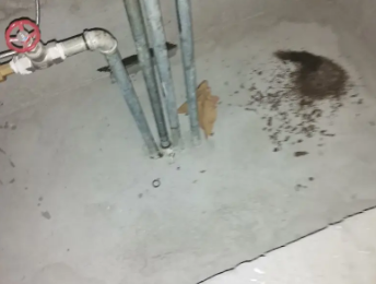 马尾卫生间测漏水价格明细