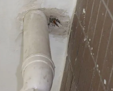 马尾漏水检测哪家好